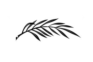 Black and white illustration of a delicate wheat or grass branch with thin leaves and seed head